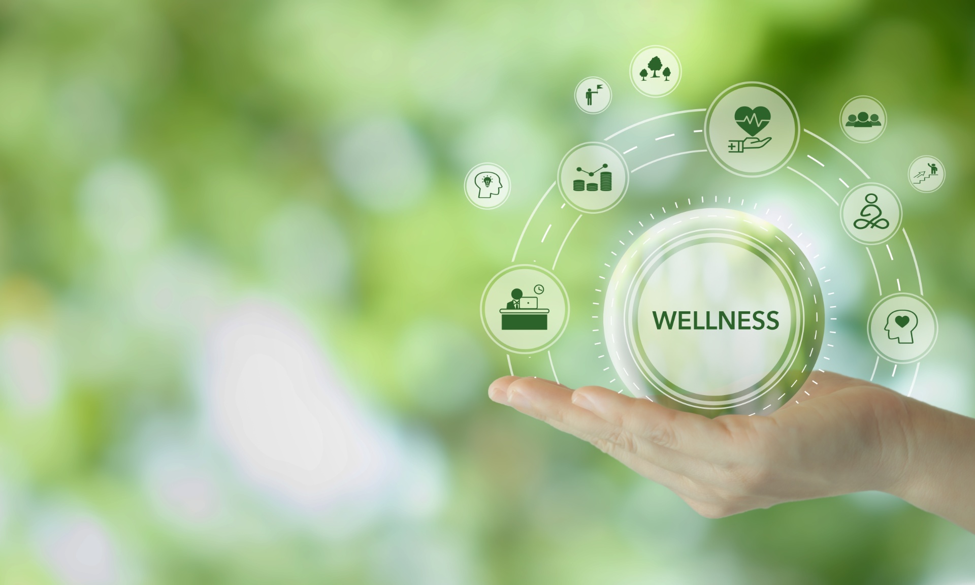 Wellness Sphere, Hand, Green Background